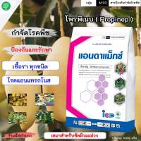 แอนดาแม็กซ์  ชื่อสามัญ : โพรพิเนบ (Propinep) 70% WP  เป็นสารป้องกันกำจัดโรคพืช  โรคที่เกิดจากเชื้อรา แอนแทรคโนส   ปริมาณ 1,000 กรัม