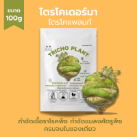 ไตรโคเดอร์มา (100กรัม) กำจัดโรคพืชและแมลงได้ในซองเดียว เพาะเชื้อจากห้องLAB100% สารชีวภัณฑ์มาตรฐานสากล