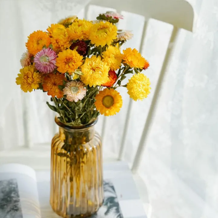 HAIYUNIA Table Centerpiece Wedding Natural Boho Decoration DIY Straw Flowers Dried Daisy Flower Arrangements Chrysanthemum | Lazada Singapore Haiyunia Table Centerpiece Wedding Natural Boho Decoration Diy Straw Flowers Dried Daisy Flower Arrangements Chrysanthemum | Lazada Singapore