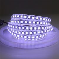 5M LED Strip 5050 120LEDs/m Flexible LED Strip tape string Lighting RGB Warm white DC 12V 5050 SMD LED High Bright Strip Lights