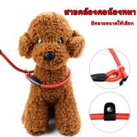 BABYPET สายจูงสุนัขสายคล้องคอแบบปรับได้ เชือกฝึกสุนัข สายจูง เชือกจูงสุนัข สายจูงสุนัข สายจูงหมา เชือกล่ามหมา​