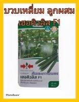 เมล็ดพันธุ์ บวบเหลี่ยม ลูกผสม เฮอคิวลิส F1 คอผลใหญ่ ผลยาวตรง ดูแลน้อย ต้นแข็งแรง ปลูกง่าย น้ำหนักดี ผลผลิตสูง ทนโรค