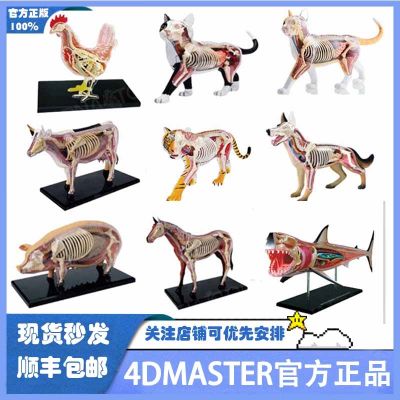 4 d MASTER assembles toy animals pigs sharks dog and cat organs bone anatomy teaching medical model