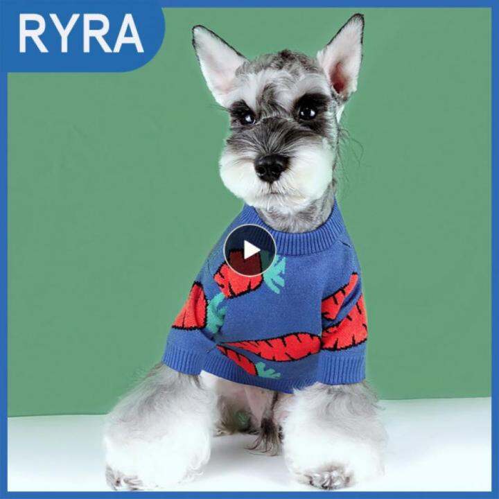 Schnauzer sweater outlet