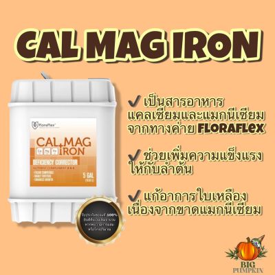 FloraFlex Cal Mag Iron ธาตุอาหารรองเต็ม Max (ไม่เจือจาง 100%)