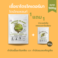 ไตรโคเดอร์มา ซื้อ1แถม1 (500g) กำจัดโรคพืชและแมลง ครบจบในซองเดียว เพาะเชื้อจากห้องLAB100%