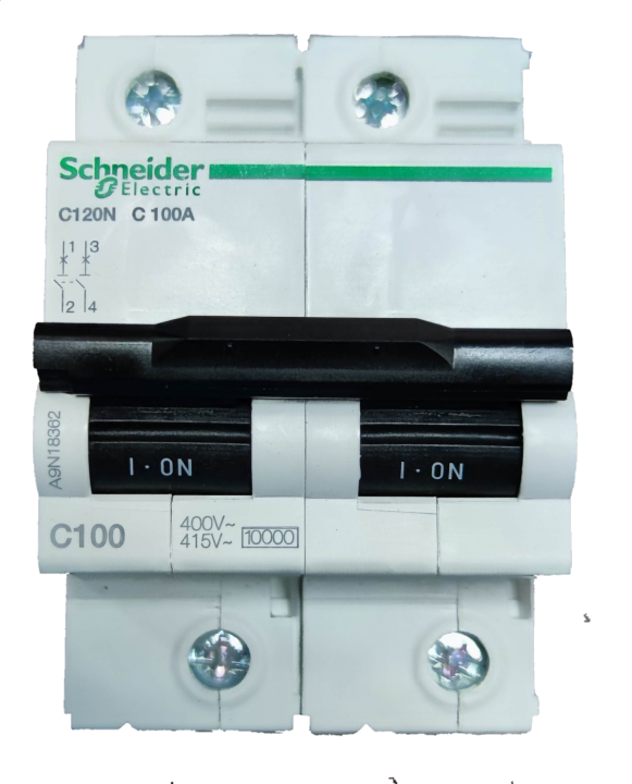 100A Miniature Circuit Breaker 2 Pole 220V ( Schneider), Single Phase 2