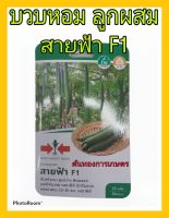 เมล็ดพันธุ์ บวบหอม ลูกผสม สายฟ้า F1 ต้นใหญ่ ขึ้นค้างเก่ง ต้นโตเร็ว ปลูกง่าย ดูแลน้อย ต้นแข็งแรง ผลผลิตสูง ทนโรค