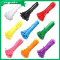 JUICYPEACHNU 3x100mm เครื่องมือช่าง ล็อคตัวเอง สายรัดสายไฟ ลวดไนลอน สายรัด มัดรวม ซิป