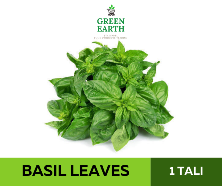GREEN EARTH FRESH BASIL LEAVES 1 BUNDLE (Approx. 100g) Lazada PH