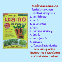 หนังสือเกษตร วางแผนปลูกมะละกอให้ออกช่วงแพง : วิเคราะห์ตลาดมะละกอก่อนลงทุน, มาทำความรู้จักกับมะละกอ, การเลือกพื้นที่ปลูกมะละกอ