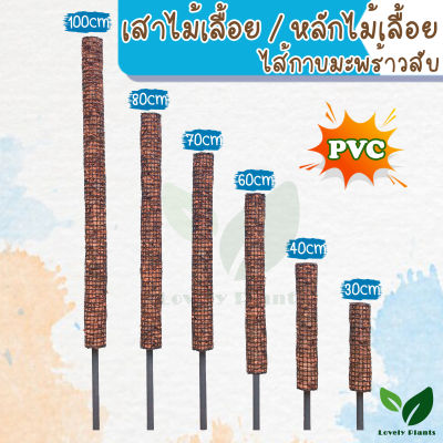 เสาไม้เลื้อย หลักไม้เลื้อย ไส้กาบมะพร้าวสับ (PVC)