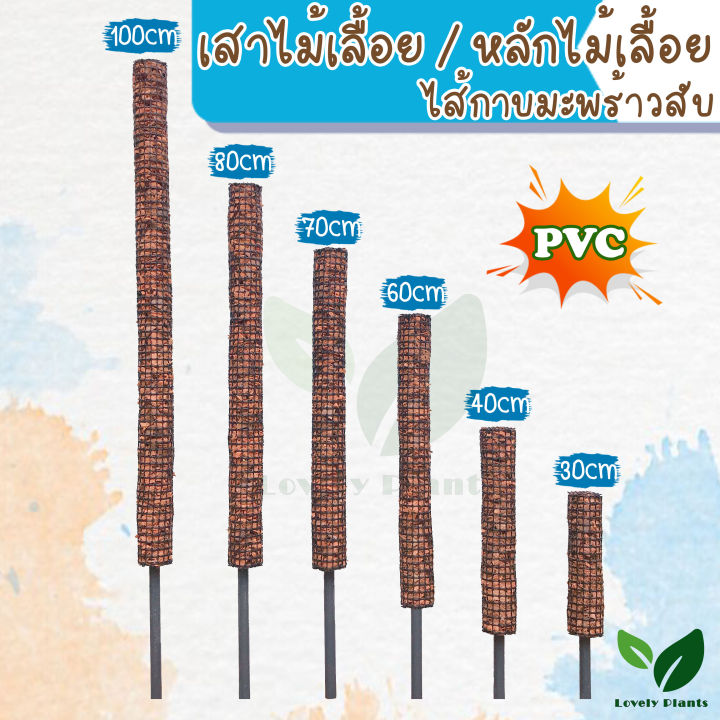 เสาไม้เลื้อย-หลักไม้เลื้อย-ไส้กาบมะพร้าวสับ-pvc