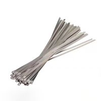 10pcs 304 Stainless Steel Metal Cable Ties 4.6MM Multifunctional Zip Exhaust Locking Cable Tie 150mm 200mm 250mm 300mm500mm