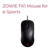 Zowie FK1 Gaming Mouse