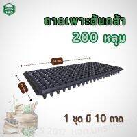 ถาดเพาะกล้าหนาพิเศษ 200หลุม แพค 10 ถาด หนา 1 มม. 10pcs-200holes Seed tray / Nursery pit tray thickness 1 mm