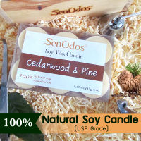 SenOdos เทียนหอม เทียนทีไลท์ อโรม่า Cedarwood + Pine Tealight Soy Candle Aroma 15g x6 PCS กลิ่นซีดาร์วูด + ไพน