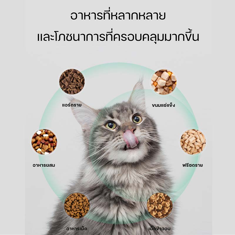 PETKIT Fresh Element GEMINI Smart Feeder เครื่องให้อาหารสัตว์เลี้ยง by munkong