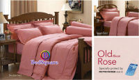 Jessica Old rose ? ชุดผ้าปูที่นอนขนาด 3.5 ฟุต (ไม่มีผ้านวม) ? สีพื้น สีโอรส โอลโรส กันไรฝุ่น และแบคทีเรีย Plain Color Old Rose Anti Dust Mites and Bacteria