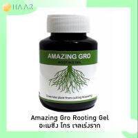 NEW++ AmazingGro เจล น้ำยา เร่งราก พืช ต้นไม้ ไม้ดอก ไม้ประดับ แคคตัส สูตรเข้มข้น ใช้งานง่าย เหมาะกับการตอนกิ่ง ปักชำ ป้ายห... ราคาถูกสุดๆ ต้นไม้ ฟอก อากาศ กระถาง ต้นไม้ ไม้ ประดับ ต้นไม้ ปลูก ใน บ้าน