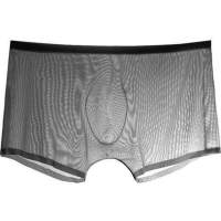 Men 39;s Underwear Transparent Boxers Bulge Ice Silk See Through Underpants Sexy Briefs Low Waist Panties Lingerie Intimates