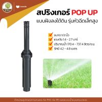 เครื่องรดน้ำอัตโนมัติ สปริงเกอร์ ป๊อปอัพ POP UP หัวฉีดเล็กสูง ขนาด 6/3.5/4.5 นิ้ว เกลียวใน 1/2" สปริงเกอร์สนาม 4บาร์ - โตไว