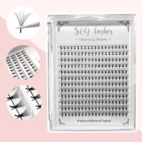 Big Capacity 10D Eyelash Extensions C/DCurl 12 Rows 0.07mm Thickness Mink Strip Eyelashes Individual Lashes 8 15mm Natural Style