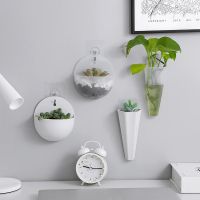 Multifunctional Wall Mounted Vase Cute Punch Free Hydroponic Green Dill Hanging Flower Pot Home Wall Decoration