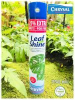 Chrysal Leaf Shine คริสซอล สเปรย์ฉีดใบมัน 750 ml.+ 25 % ฟรี  เคลือบเงาใบ สวยงาม ไม้ใบ ไม้ประดับ เงางาม