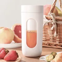 300ml Portable Juicer Cup Food Mixer Ice Crusher Plastic Fruit Squeezer Usb Charging Fruit Juice Cup Juicer Kitchen Accessories