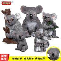 ? ของขวัญ Solid จำลอง Koala Wild Static Animal Model ชุดของเล่น เด็กของเล่นพลาสติก