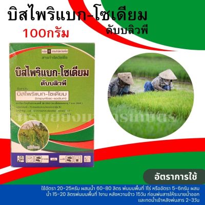 บิสไพริแบก-โซเดียม ดับบลิวซี 100 กรัม  ตราหมูทองคำ ใช้หลังวัชพืชงอกในนาข้าวน้ำตม กำจัดวัชพืชใบแคบ/ใบกว้าง และประเภท กก