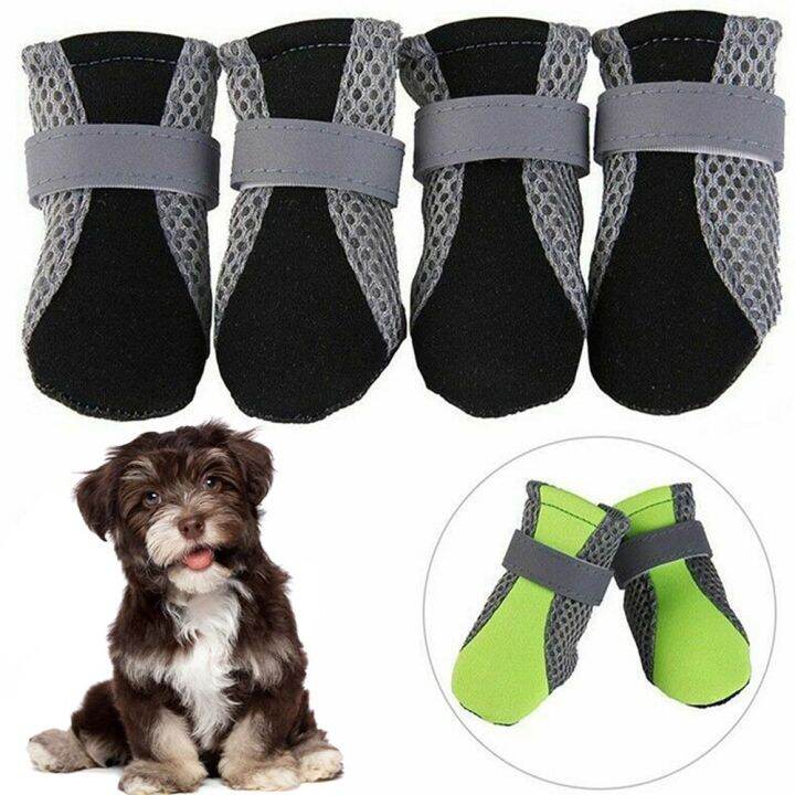 DFVDSPW Antislip Super Soft for Poodle Yorkshire Mesh Hot Pavement