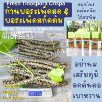 บอระเพ็ดสดสกัดต้ม-ก้านบอระเพ็ด ขมดี organic หย่านม อม ดูด สัตว์กัด แทะ