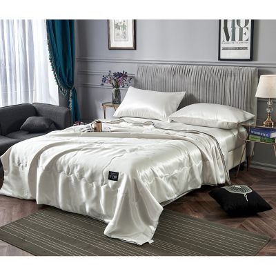 Alshone Summer Quilt Washed Silk Comforter High Quality Quilt Soft Blanket Air Condition Summer Duvet