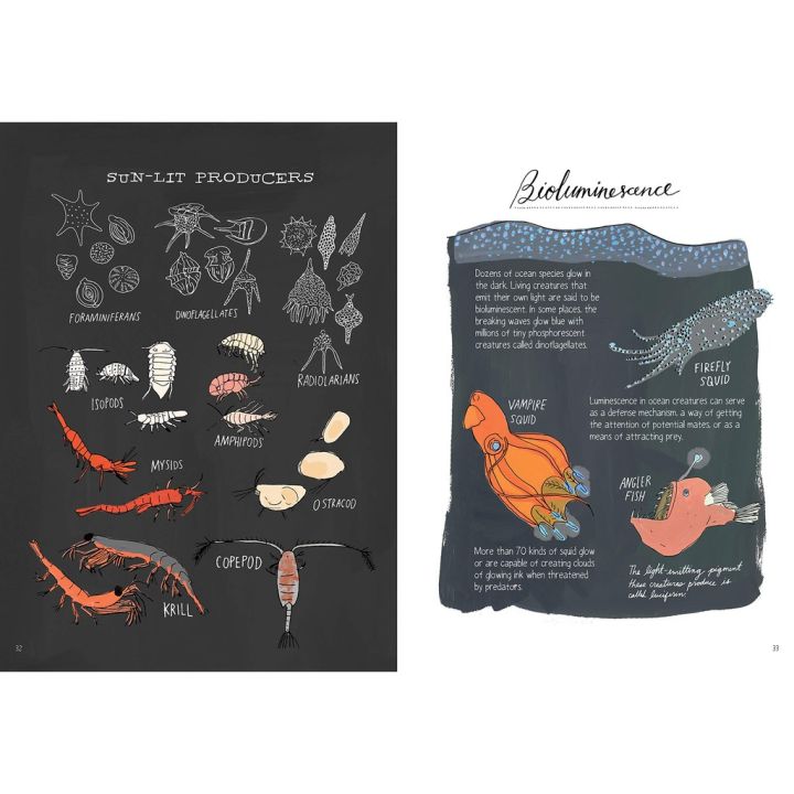 สินค้าใหม่-หนังสือภาษาอังกฤษ-ocean-anatomy-the-curious-parts-amp-pieces-of-the-world-under-the-sea-paperback