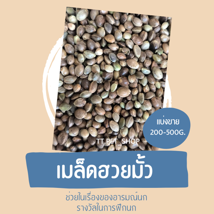 เมล็ดฮวยมั้ว-แบ่งขาย-200-500g-สำหรับฝึกนก-ให้รางวัลนก