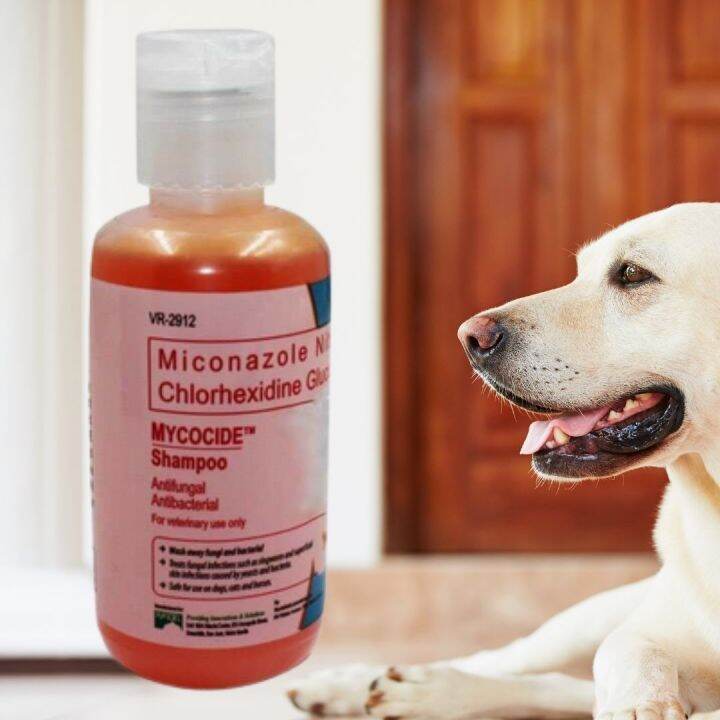 150ml Mycocide Antifungal and Antibacterial Shampoo for Dogs Cats and