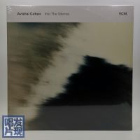 ECM Jazz Avishai Cohen Into The Silence Black Glue 2LP