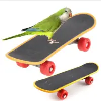 ZHONGLIAN Intelligence Funny Parakeet Pet Training Accessories Stand Perch Bird Accessories Skateboard Bird Supplies Bird Toy