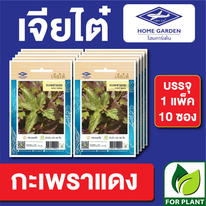 ผักซอง-เจียไต๋-กะเพราแดง-บรรจุแพ็คล่ะ-10-ซอง-ราคา-70-บาท