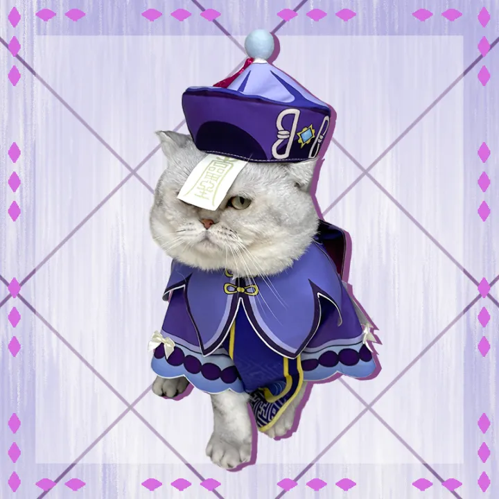 Hot Cute Genshin Impact Pet Clothes COS Kawaii Qiqi Pet Clothes Cute