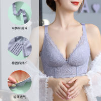 New Style No Steel Ring Big Breast Show Small and Thin Adjustable Lace Push-up Female Breast Holding Anti-Sagging