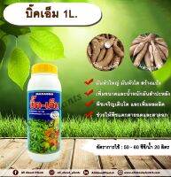 บิ๊คเอ็ม 1L. ธาตุอาหารรอง ธาตุอาหารเสริม ฮอร์โมนพืช มันหัวใหญ่ มันหัวโต ลงหัวมัน สร้างแป้ง เพิ่มขนาด เพิ่มน้ำหนัก allabountplants