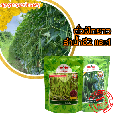 ถั่วฝักยาวลำน้ำชี2 และ1 เมล็ดพันธุ์ถั่วเนื้อ ตราศรแดง 500 ก.