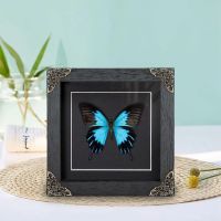 ☒ 7x7 Shadow Box Frame in Black Vintage Style Art Accessories Wood Photo Frame