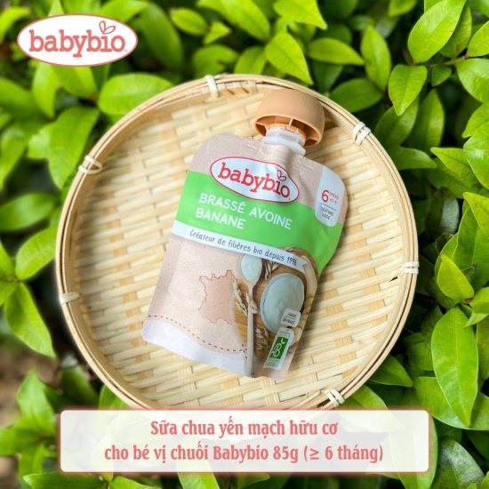Sữa chua sữa dừa hoa quả hữu cơ babybio cho bé từ 6 tháng túi 85g hàng nội - ảnh sản phẩm 6