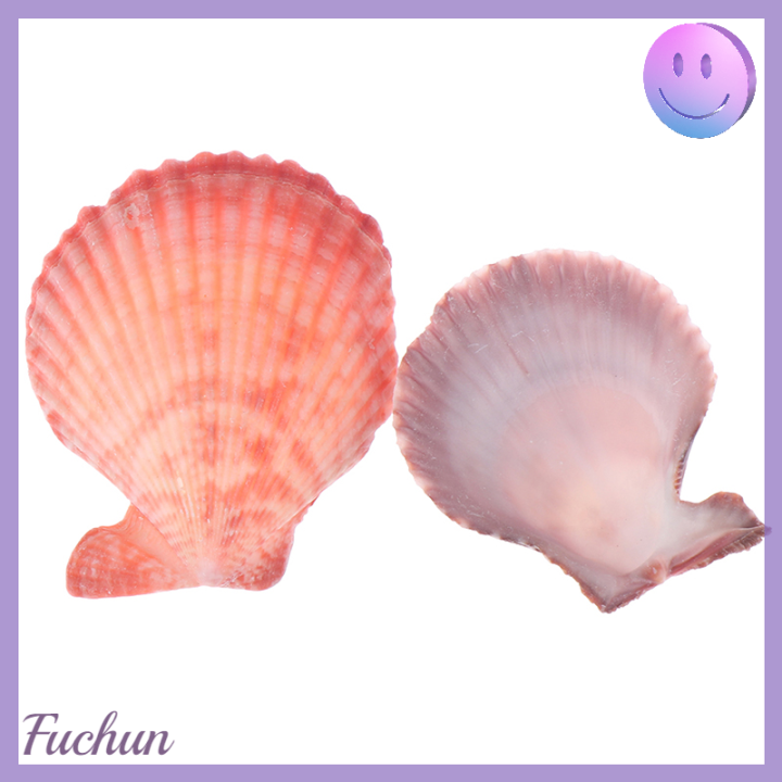 fuchun-เครื่องประดับตกแต่งเปลือกหอยธรรมชาติสีสันสดใสจำนวน20ชิ้น-ของประดับตกแต่งงานฝีมือต่างหูรูปหอยเชลล์