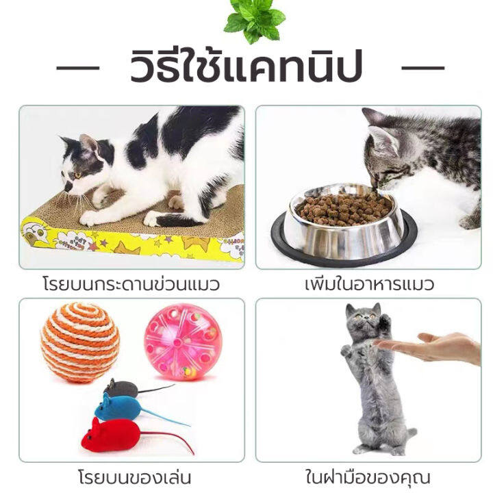 กัญชาแมว-แคทนิป-catnip-หลอดทดลอง-แคทนิป-catnip-สมุนไพรออร์แกนิคสำหรับแมวแบบหลอด-45ml