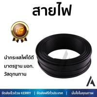 สายไฟ สายไฟฟ้า คุณภาพสูง  สายไฟ THW60227IEC01 NATION 1x2.5SQ.MM50Mดำ  NATION  THW 1x2.5 SQ.MM BL นำกระแสไฟได้ดี ทนทาน รองรับมาตรฐาน มอก. Electrical Wires จัดส่งฟรี Kerry ทั่วประเทศ